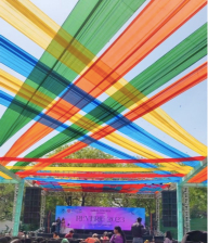 Elegant Holi Décor Solutions for Open Venues and Home Gardens – By Floroon