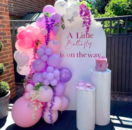 Little Butterfly Theme Setup